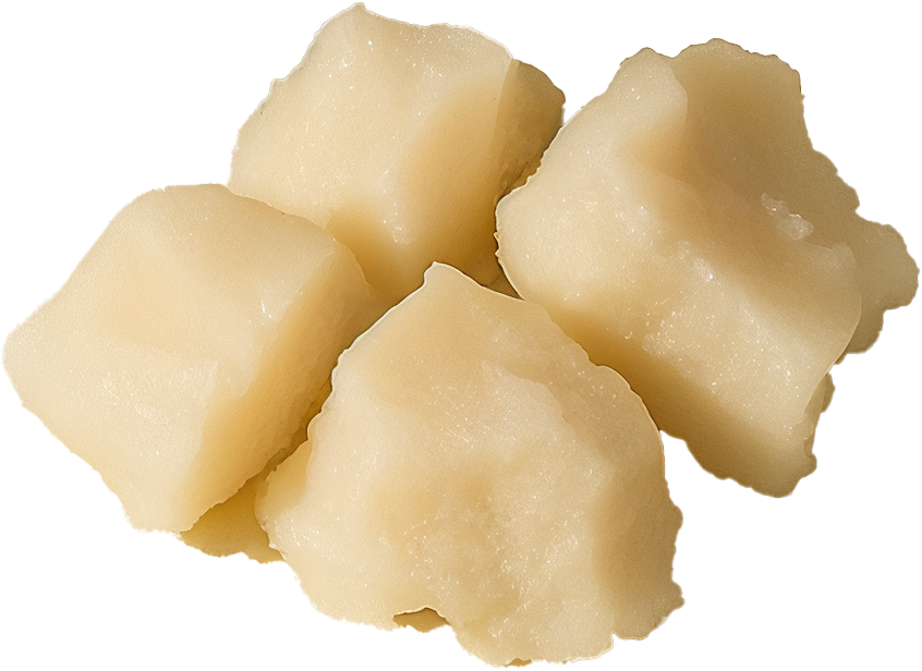 Forge Wrinkle Defense Tallow Balm