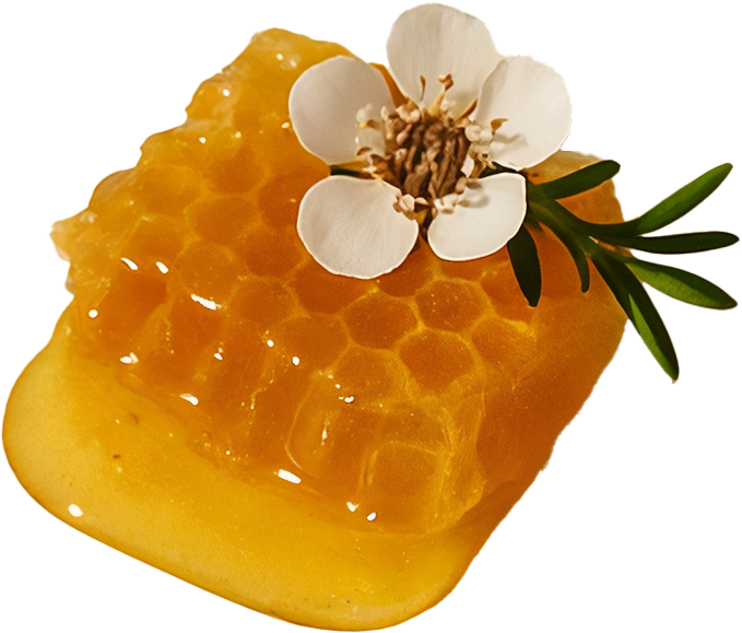 Forge Wrinkle Defense Tallow Balm